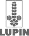 Lupin